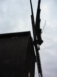 Die Fluegel (1)