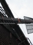 Die Fluegel (2)